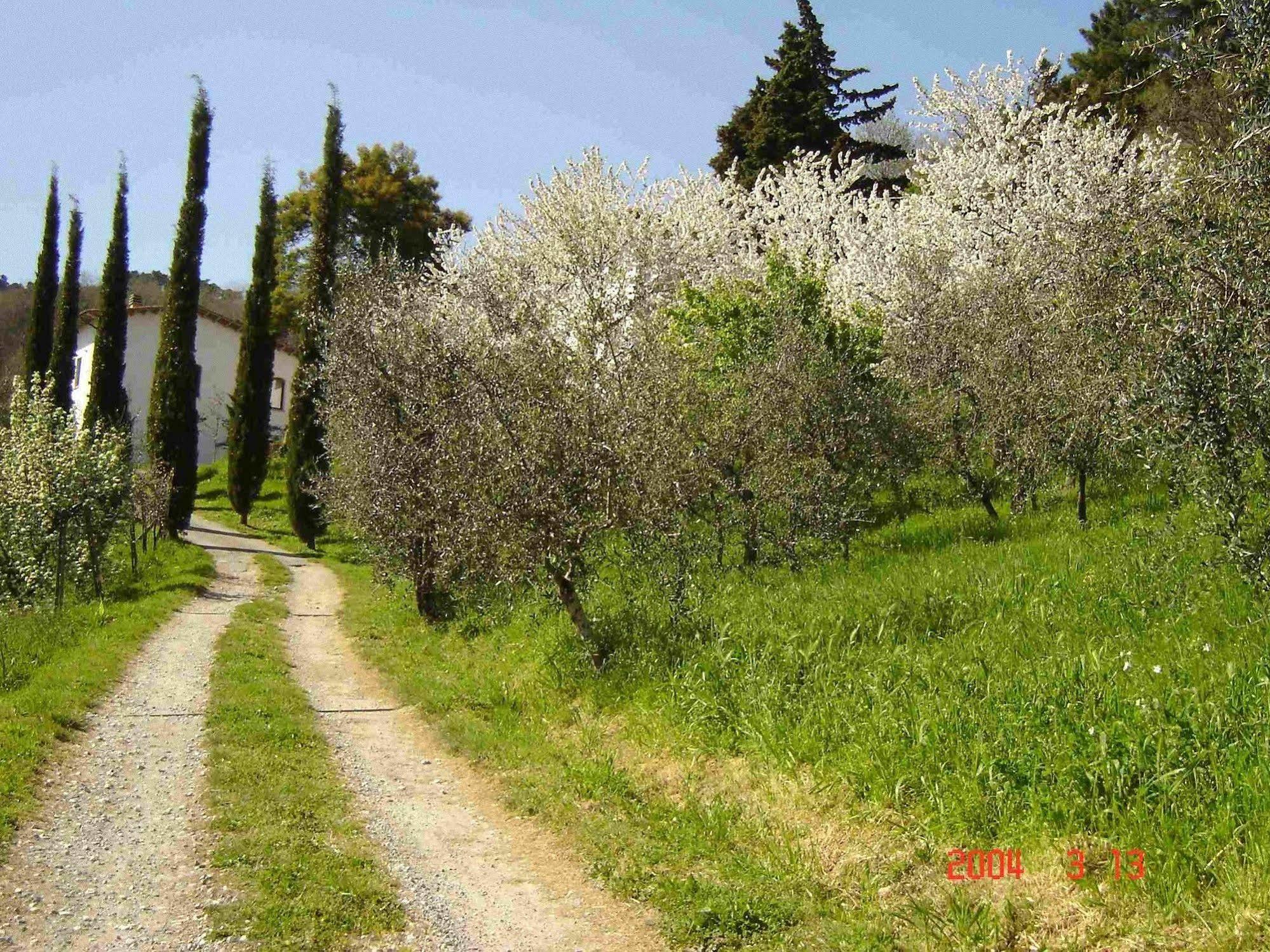 Podere"Sulle Soglie Del Bosco" Appartament And Rooms Pescia Exterior photo